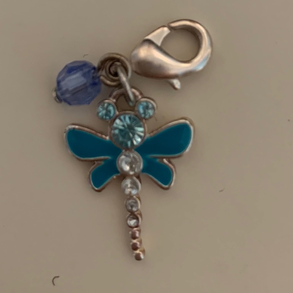 Disney charm
